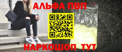 СК Бийск