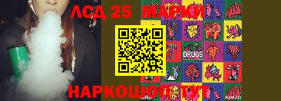 СК Бийск