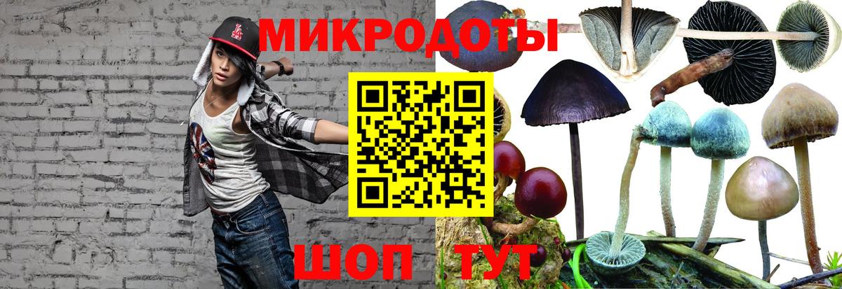 Галлюциногенные грибы Cubensis Выборг