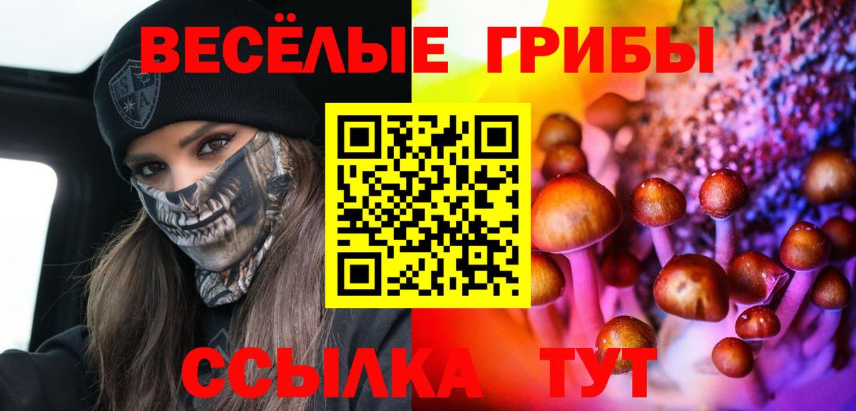 Галлюциногенные грибы MAGIC MUSHROOMS  Вход с VPN  Выборг  купить   Псилоцибиновые грибы MAGIC MUSHROOMS 